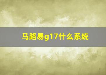 马路易g17什么系统