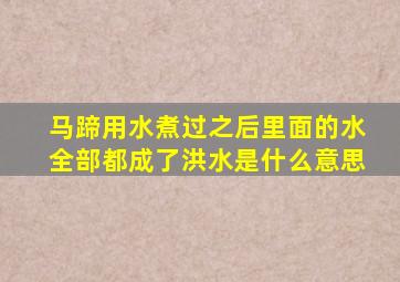 马蹄用水煮过之后里面的水全部都成了洪水是什么意思