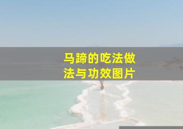 马蹄的吃法做法与功效图片