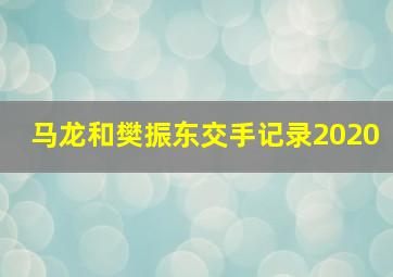 马龙和樊振东交手记录2020