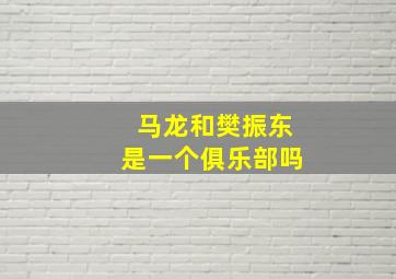 马龙和樊振东是一个俱乐部吗