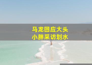 马龙回应大头小胖采访划水