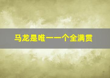 马龙是唯一一个全满贯