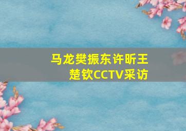 马龙樊振东许昕王楚钦CCTV采访