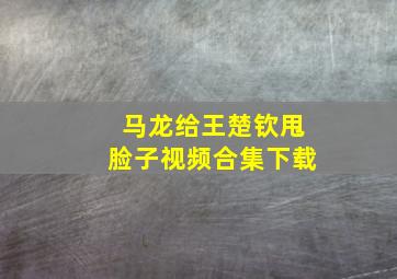 马龙给王楚钦甩脸子视频合集下载