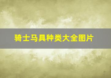 骑士马具种类大全图片