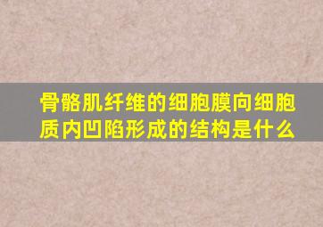 骨骼肌纤维的细胞膜向细胞质内凹陷形成的结构是什么