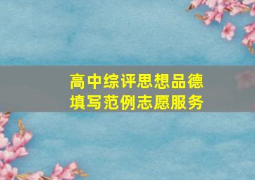 高中综评思想品德填写范例志愿服务