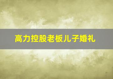 高力控股老板儿子婚礼