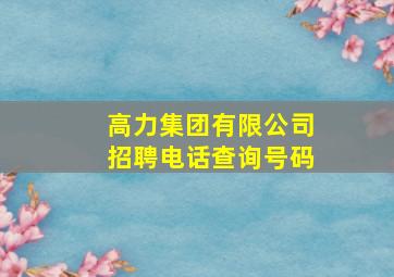 高力集团有限公司招聘电话查询号码