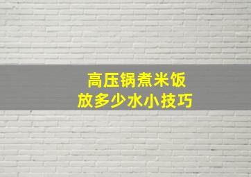 高压锅煮米饭放多少水小技巧