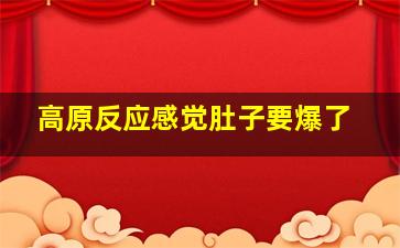 高原反应感觉肚子要爆了