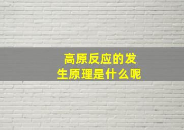 高原反应的发生原理是什么呢