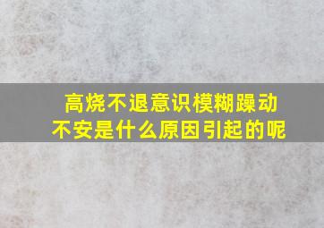 高烧不退意识模糊躁动不安是什么原因引起的呢