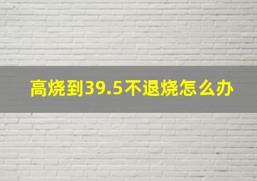 高烧到39.5不退烧怎么办