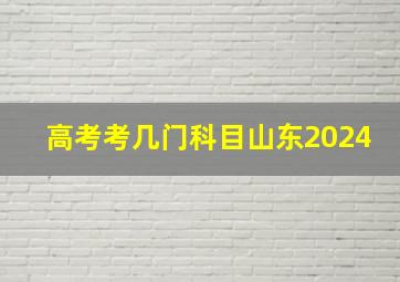 高考考几门科目山东2024