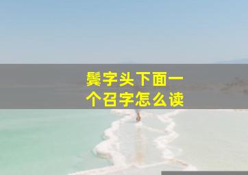 鬓字头下面一个召字怎么读