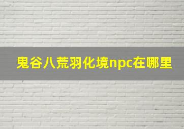 鬼谷八荒羽化境npc在哪里