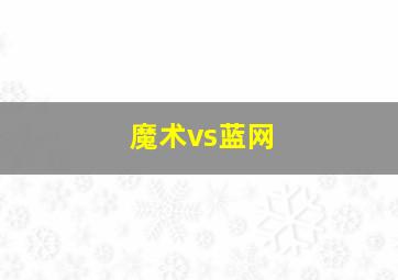 魔术vs蓝网