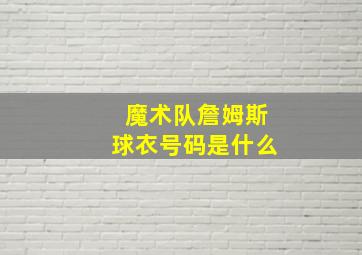 魔术队詹姆斯球衣号码是什么