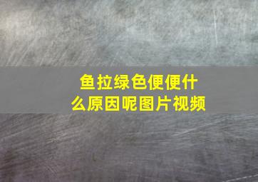 鱼拉绿色便便什么原因呢图片视频