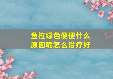 鱼拉绿色便便什么原因呢怎么治疗好