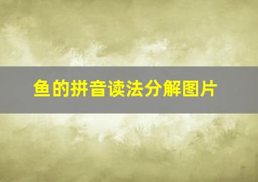 鱼的拼音读法分解图片