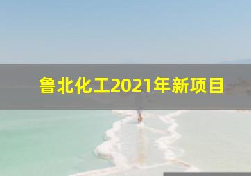 鲁北化工2021年新项目