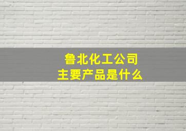 鲁北化工公司主要产品是什么