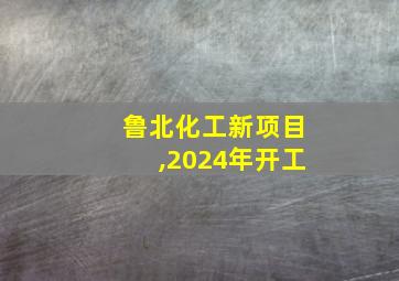 鲁北化工新项目,2024年开工