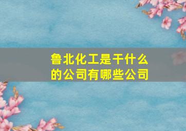 鲁北化工是干什么的公司有哪些公司