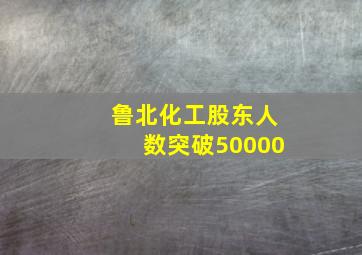 鲁北化工股东人数突破50000