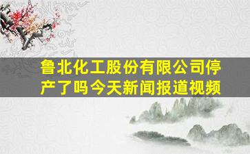 鲁北化工股份有限公司停产了吗今天新闻报道视频