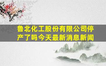 鲁北化工股份有限公司停产了吗今天最新消息新闻