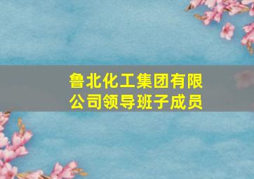 鲁北化工集团有限公司领导班子成员