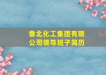 鲁北化工集团有限公司领导班子简历