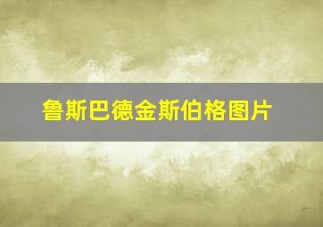 鲁斯巴德金斯伯格图片