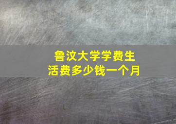 鲁汶大学学费生活费多少钱一个月