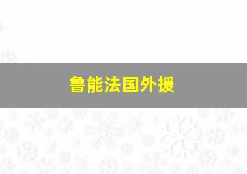 鲁能法国外援