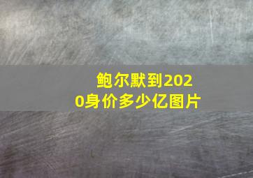 鲍尔默到2020身价多少亿图片