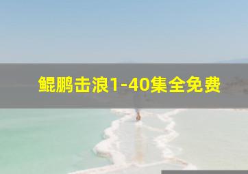 鲲鹏击浪1-40集全免费