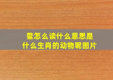 鳌怎么读什么意思是什么生肖的动物呢图片