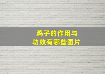 鸡子的作用与功效有哪些图片