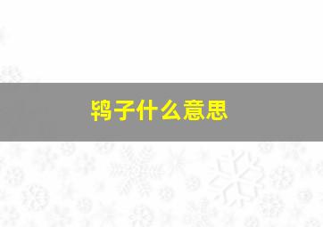 鸨子什么意思