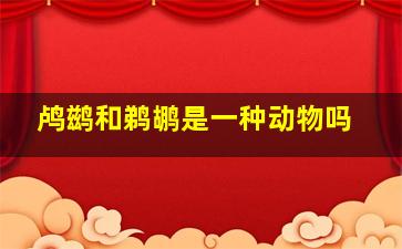 鸬鹚和鹈鹕是一种动物吗