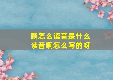 鹂怎么读音是什么读音啊怎么写的呀