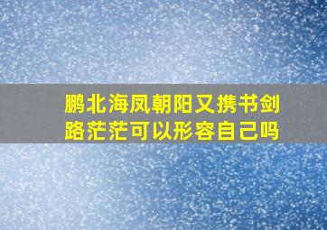 鹏北海凤朝阳又携书剑路茫茫可以形容自己吗