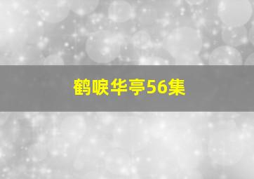 鹤唳华亭56集