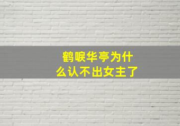 鹤唳华亭为什么认不出女主了