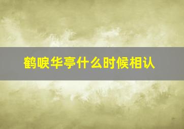 鹤唳华亭什么时候相认